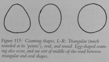 greenland_coaming_bending_form